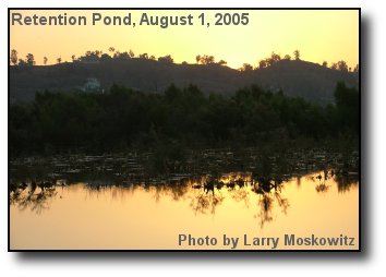 Pond at Dawn